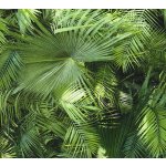 A.S. Création 362001 vliesová tapeta na zeď Neue Bude 2.0 rozměry 0,53 x 10,05 m – Zboží Mobilmania