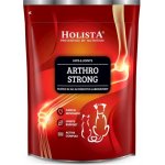 Holista Arthro Strong doplňky stravy pro psy a kočky 600 g – Hledejceny.cz