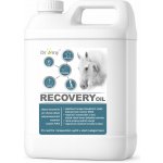 Dromy Recovery oil 3 l – Hledejceny.cz