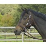 BUSSE Ohlávka Riding tmavěhnědá – Sleviste.cz