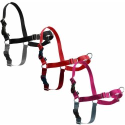 PetSafe Postroj EasyWalk