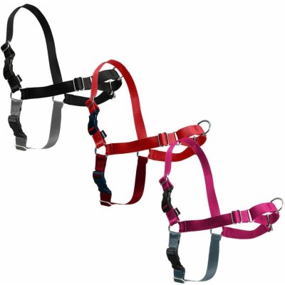 PetSafe Postroj EasyWalk – Hledejceny.cz