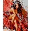 Gaira malování podle čísel Flamenco dancer