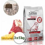 Platinum Adult Beef & Potatoes 6 x 5 kg – Hledejceny.cz