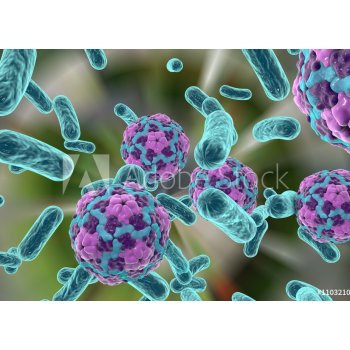 WEBLUX 110321094 Samolepka fólie Bacteria and hepatitis A virus, rozměry  200 x 144 cm od 675 Kč - Heureka.cz