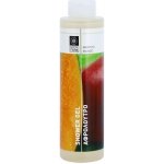 Bodyfarm sprchový gel Mango 250 ml – Hledejceny.cz