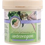 Topvet Artroregen gel 250 ml – Hledejceny.cz