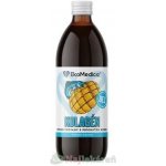 EkoMedica SK Kolagen nápoj mangová příchuť 500 ml – Hledejceny.cz