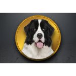 Emblém Landseer GL376/GL376_25 – Zboží Dáma