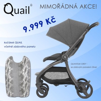 BabyStyle Egg Quail quantum grey/silver 2019