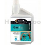 Horse Master Gastrix 0,946 l – Hledejceny.cz