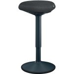 Leitz balanční židle Ergo – Zboží Dáma