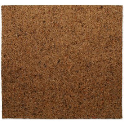 Repti Planet Coco Pad 50x50 – Hledejceny.cz