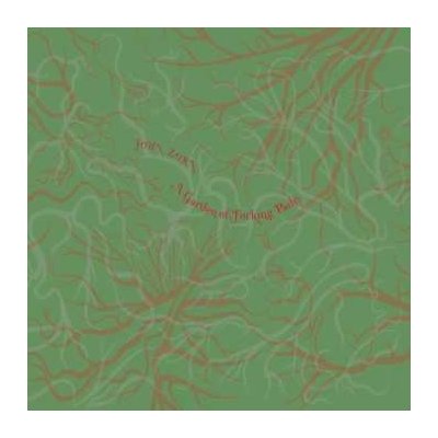John Zorn - A Garden Of Forking Paths CD