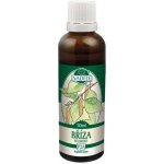 Rabštejnská apatyka Bříza tinktura z pupenů rostlin 50 ml – Hledejceny.cz