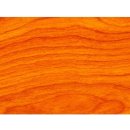 Lazura a mořidlo na dřevo Xyladecor Standard 5 l Indický týk