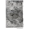 Akvarijní dekorace Back To Nature Slimline 80A 80x50 cm River Basalt/Gray