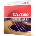 D'addario EJ17 – Sleviste.cz