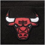 New Era NBA Essential Chicago Bulls – Hledejceny.cz
