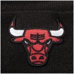 New Era NBA Essential Chicago Bulls – Sleviste.cz