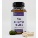 Houbičky.eu Bio outkovka pestrá bio coriolus versicolor 100 kapslí – Hledejceny.cz