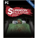 Hra na PC Surgeon Simulator 2013