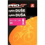 PRO-T DV – Sleviste.cz