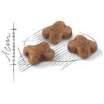 Royal Canin Kitten 2 x 10 kg – Hledejceny.cz
