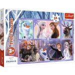 Trefl Maxi Svět plný magie Frozen 2 14345 24 dílků – Hledejceny.cz
