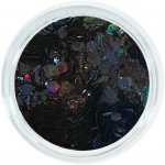 Aglia EUPHORIA ONYX glitry na nehty 1.5 g – Hledejceny.cz
