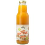 Moštárna Louny MOŠT JABLKO S RAKYTNÍKEM 750 ml – Zboží Dáma
