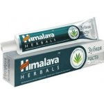 Himalaya Dental Cream s přírodním fluoridem Neem a granátové jablko 100 g – Hledejceny.cz