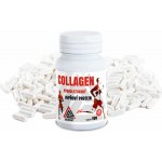 Valknut Vepřový Hydrolyzovaný Collagen protein 120 kapslí – Hledejceny.cz