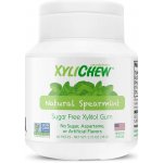 Xylichew žvýkačky spearmint 60 ks – Hledejceny.cz