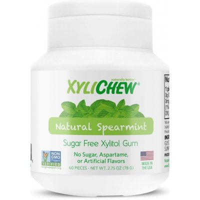 Xylichew žvýkačky spearmint 60 ks – Hledejceny.cz