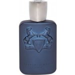Parfums de Marly Layton parfémovaná voda unisex 125 ml – Hledejceny.cz