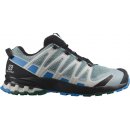 Salomon XA Pro 3D v8 GTX M L41629200 Legion blue /Blithe/Pearl blue