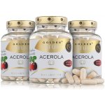 Golden Nature 2+1 Exclusive Acerola přírodní vitamin C 300 kapslí – Hledejceny.cz