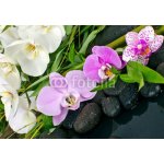 WEBLUX 50426664 Fototapeta vliesová Wellness Concept: orchids Wellness koncept: orchideje bambus kámen voda rozměry 145 x 100 cm