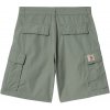 Pánské kraťasy a šortky Carhartt pánské kraťasy WIP Cole Cargo Short