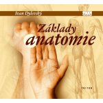 Základy anatomie - Dylevský Ivan – Hledejceny.cz