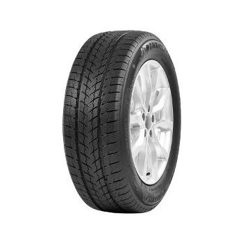 Davanti Wintoura 255/50 R20 109V