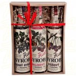 Kitl Syrob Černý rybíz a Malina a Višeň 3 x 0,5 l – Hledejceny.cz