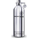 Montale Fruits Of The Musk parfémovaná voda unisex 100 ml – Hledejceny.cz