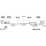 Bosal BS 256-503 – Hledejceny.cz