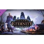 Pillars of Eternity - The White March: Part 2 – Hledejceny.cz