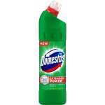 Domestos 24h Pine Fresh 750 + tekutý desinfekční a čisticí prostředek 250 ml – Hledejceny.cz