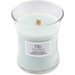 WoodWick Magnolia Birch 275 g – Hledejceny.cz