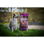 Marp Holistic Senior & Light Grain Free Turkey 12 kg – Sleviste.cz