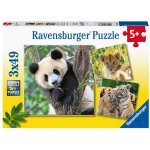 Ravensburger 056668 Panda tygr a lev 3 x 49 dílků – Hledejceny.cz